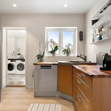 Apartment Ons 2024 - In *